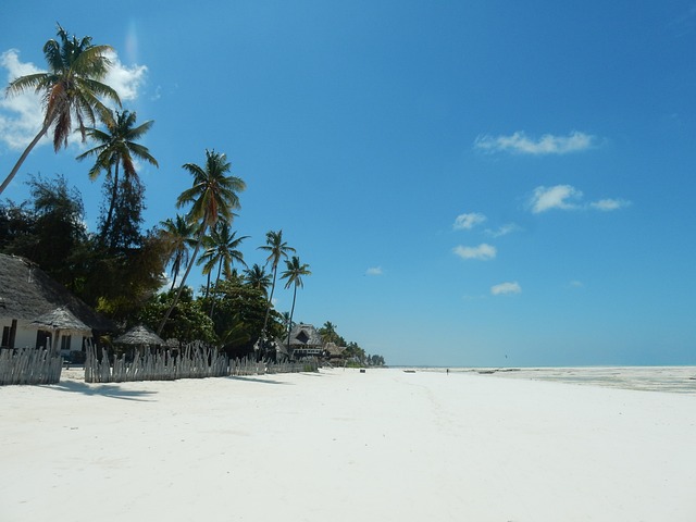 Vacanza a Zanzibar: quanto costa una settimana? Cosa vedere?