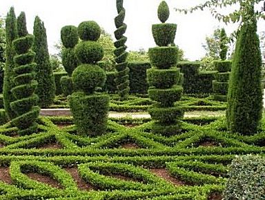 L’arte di potare in forme geometriche o bizzarre: perché si chiama topiaria?