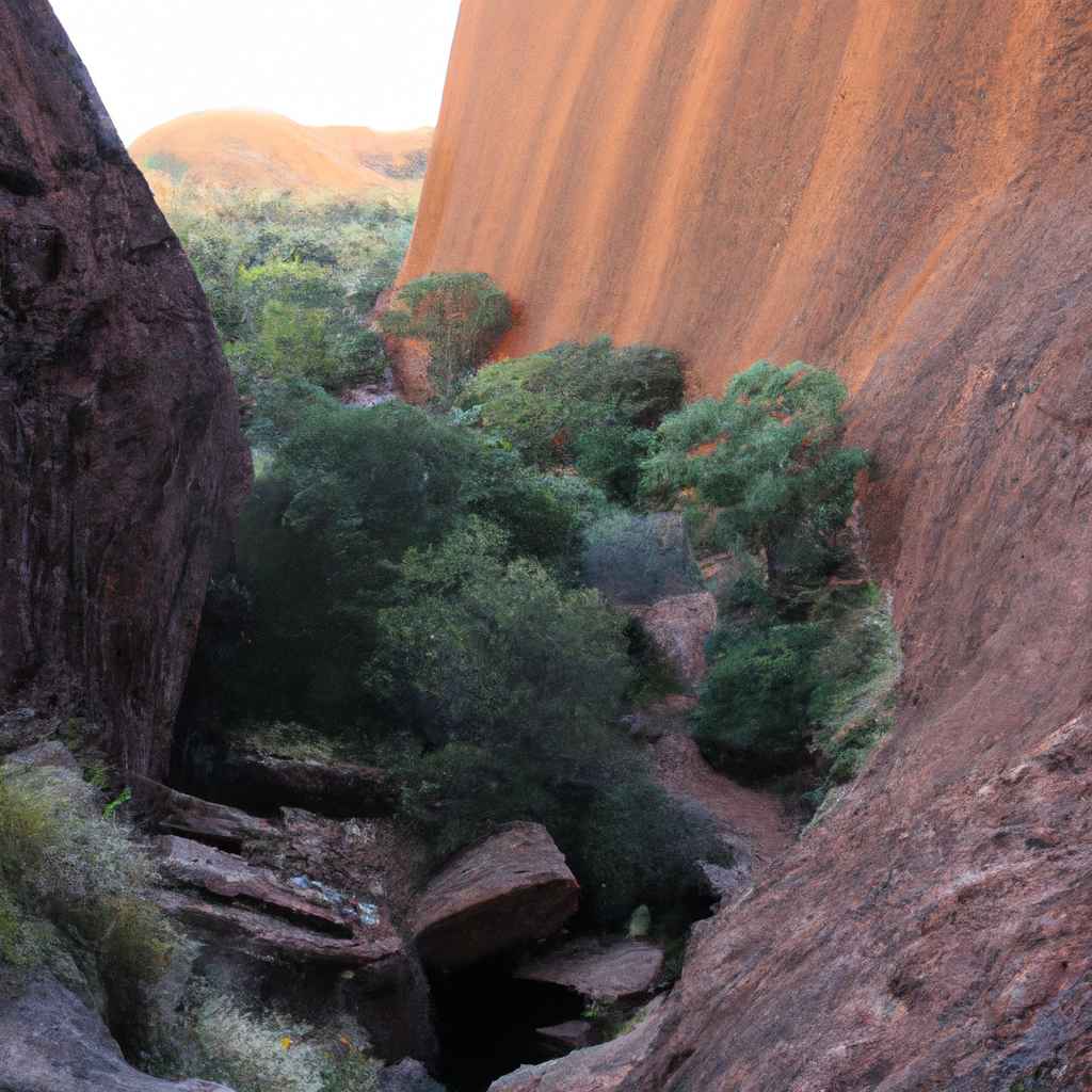 Red Centre adventure: Uluru al tramonto e cammino nella gola di Kings Canyon